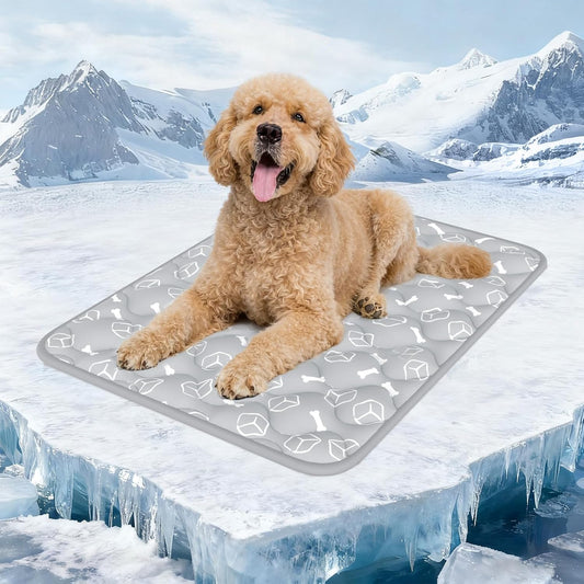 TrueCompanion™ Cooling Mat
