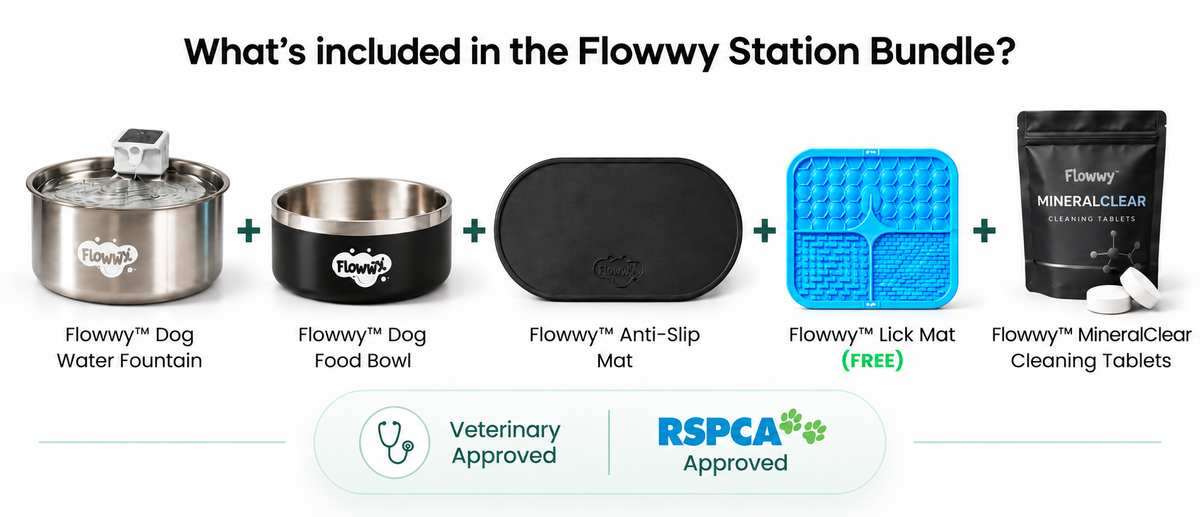 Reference bundle graphic: water fountain, food bowl, anti-slip mat and Freezy. Replace with your Flowwy bundle image.