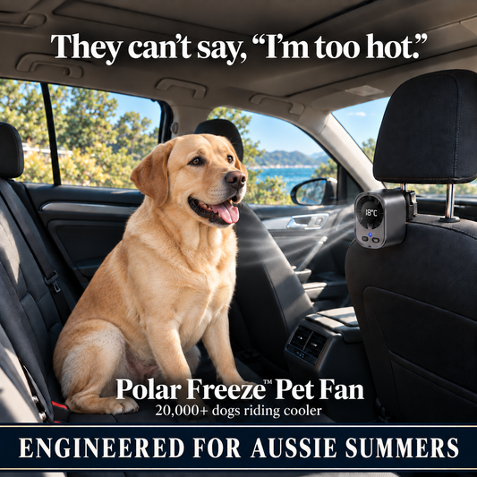 PolarBlast™ Chilling Fan