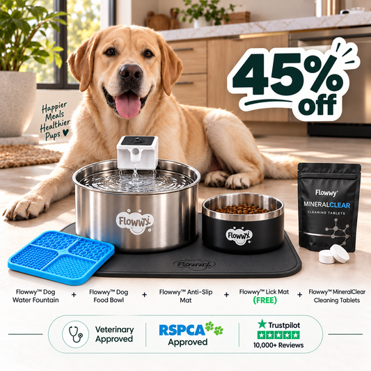 Flowwy™ Complete Hydration Bundle