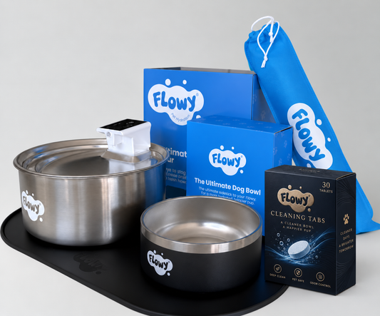 Flowwy™ Complete Hydration Bundle