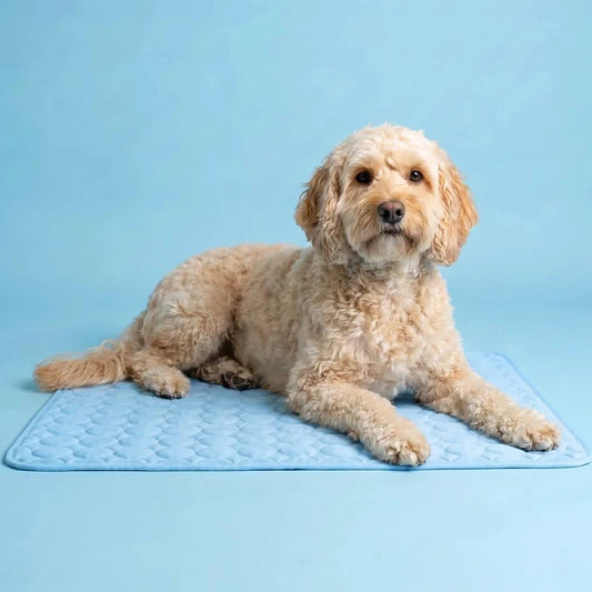 TrueCompanion™ Cooling Mat